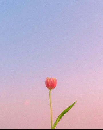 prima utami profile icon