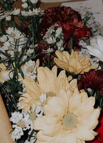 amellia profile icon