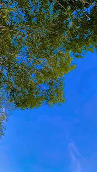 มินนี่ profile icon