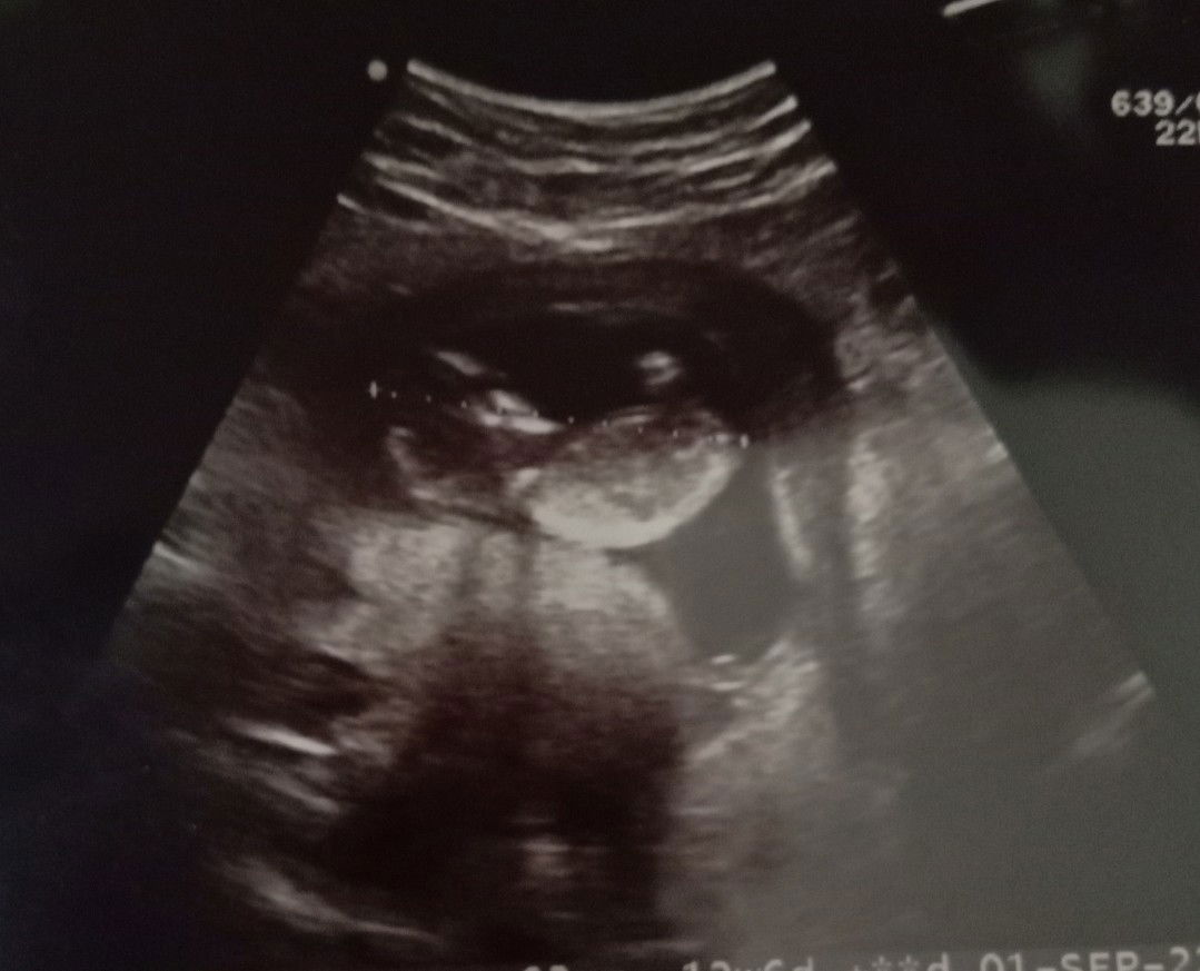 กรวิภา วงษ์ชาลี profile icon