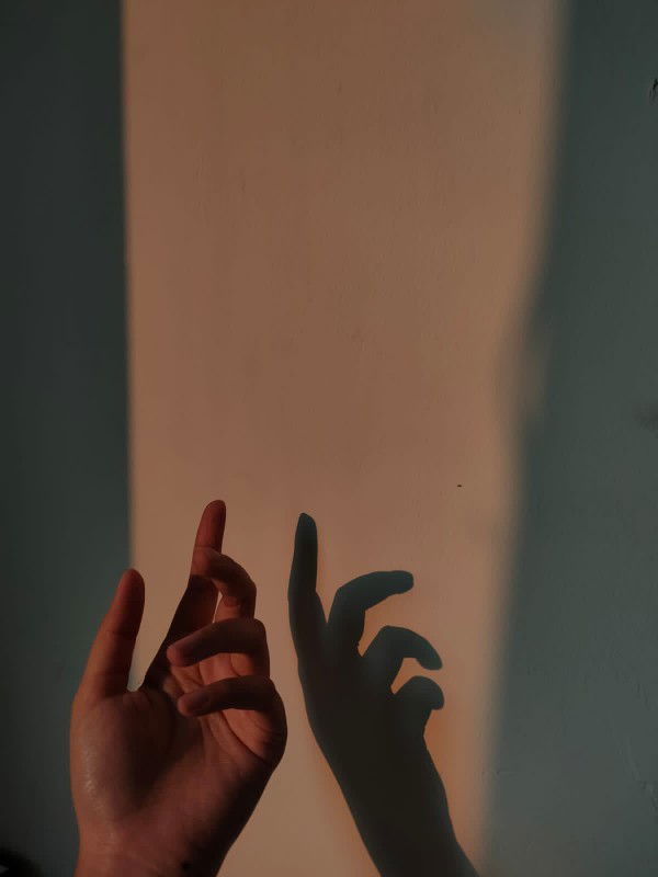 calon ibu profile icon