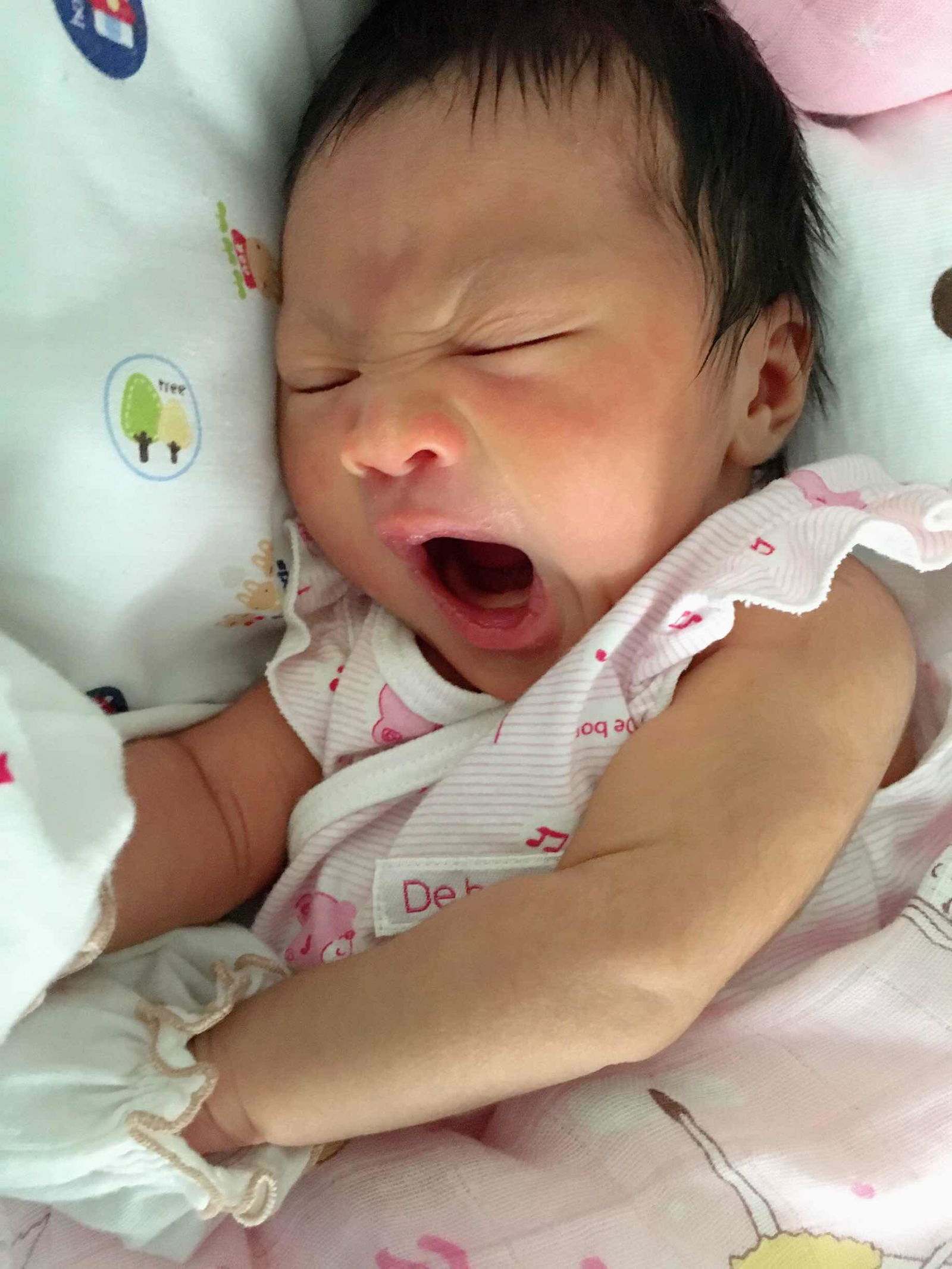 Phakphicha Wangto profile icon