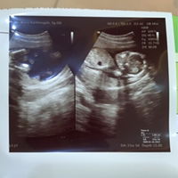 Jelantik Geniung pratidina profile icon