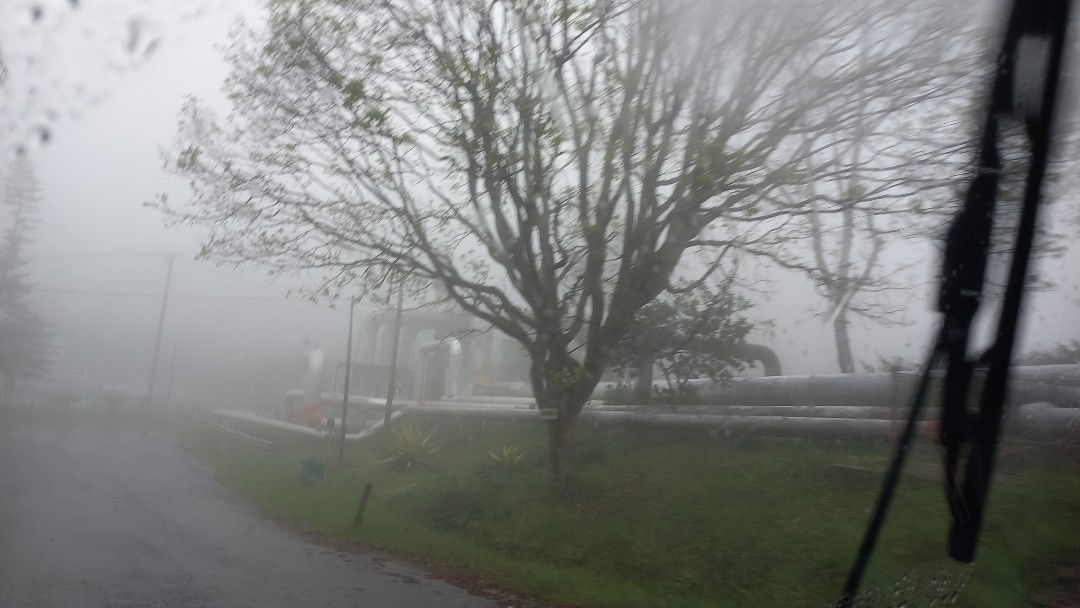 Dwi Lestari profile icon