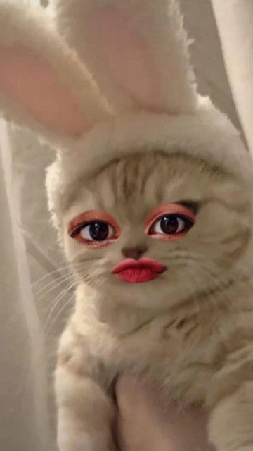 SAI AEW profile icon