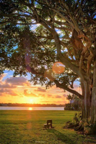 fatmah mislam profile icon