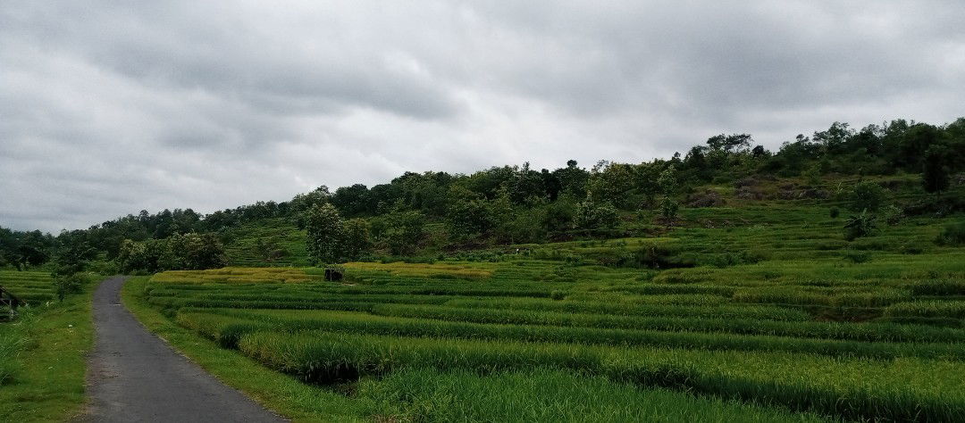 Kurniasih junita profile icon