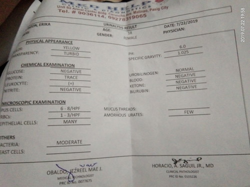 URINALYSIS RESULT