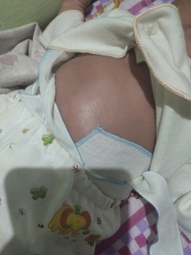 perut
