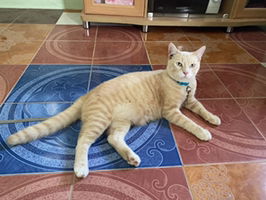 boo_mom❤️ profile icon