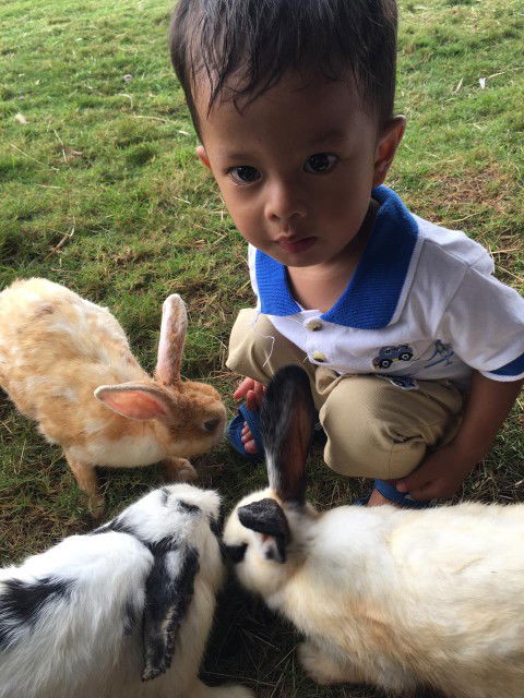 faisal suciani profile icon