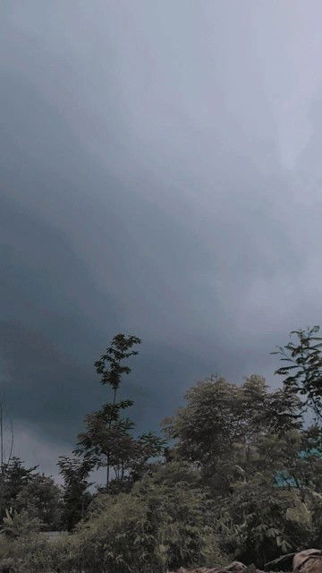 Lailatul Anisah profile icon