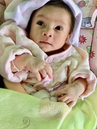 Bow Bow profile icon