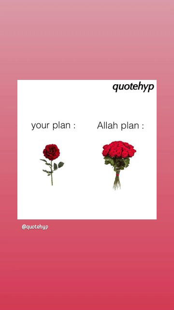 Astrini Lethy dualolo profile icon