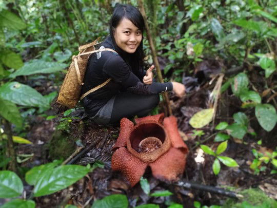 felicia edna julius profile icon