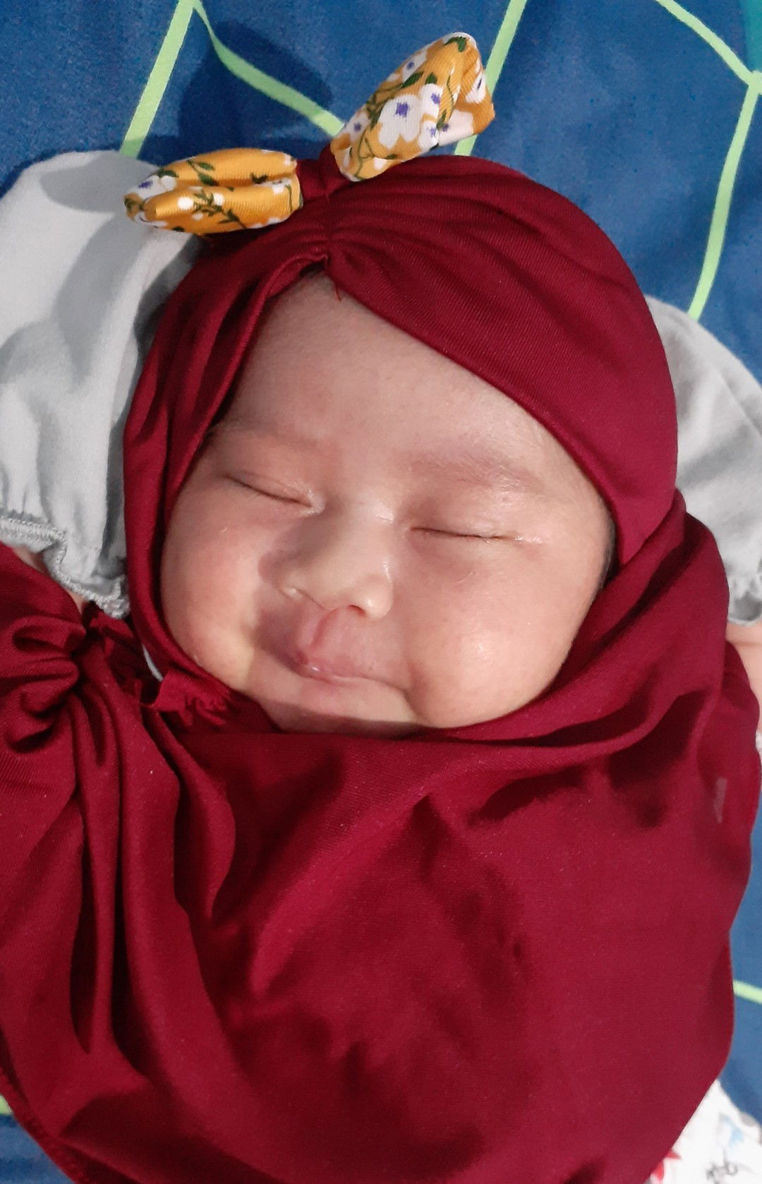 Nofi Maelani profile icon