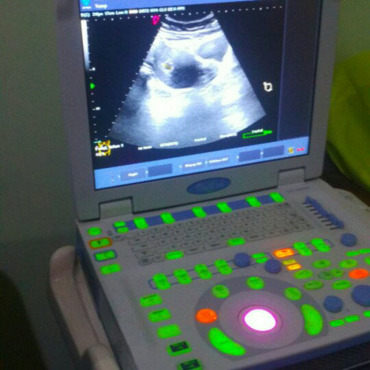 Siti Rofiah profile icon