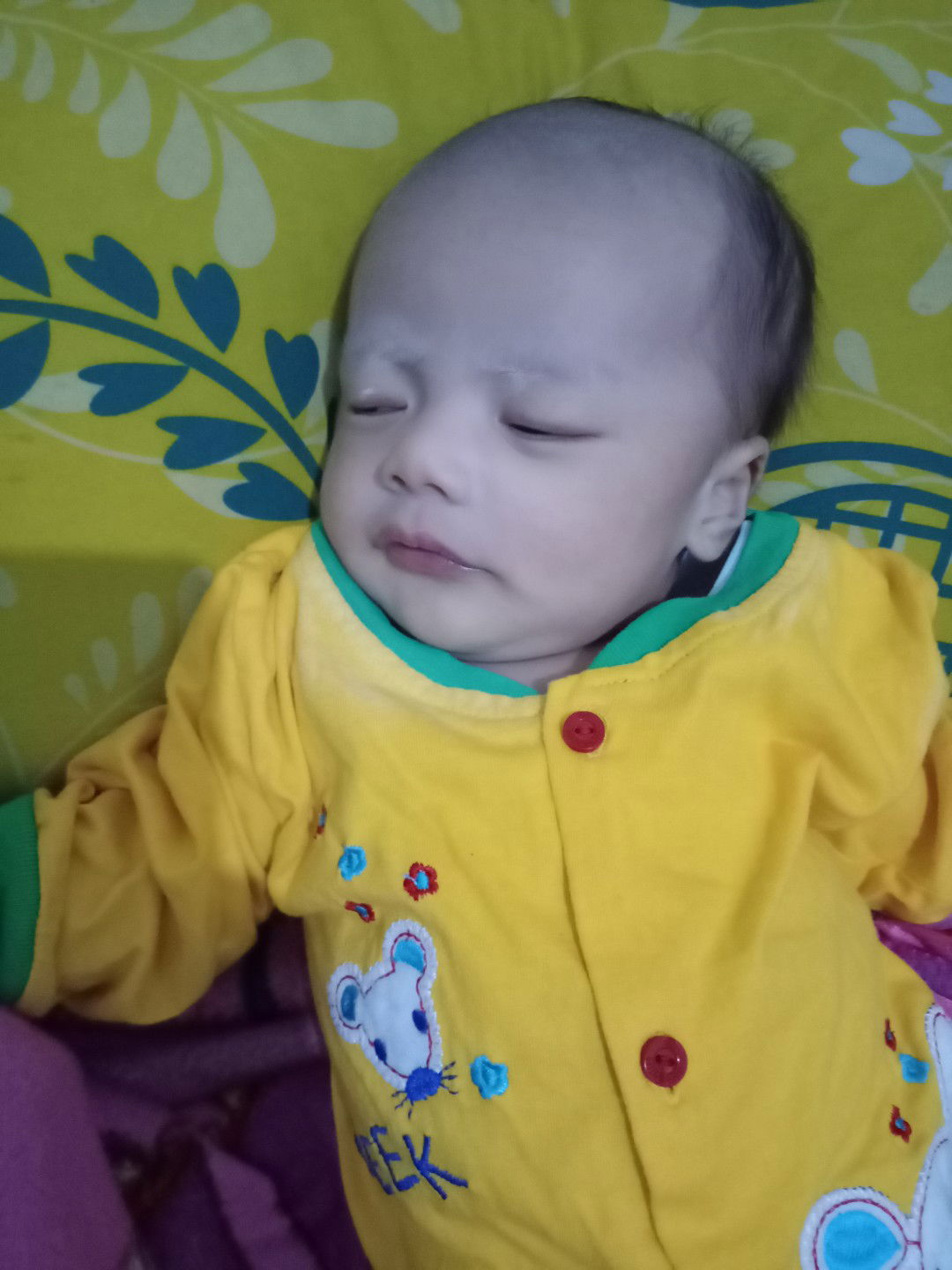 Bayi kelahiran desember