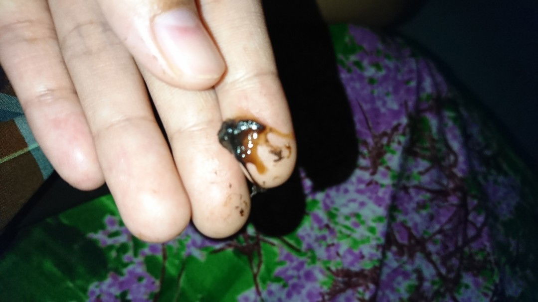 Maaf Yak Sedikit Jorok