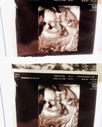 Bai Fern profile icon