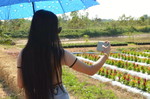 Siriwan kosakul profile icon
