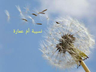 Mommy_zu profile icon