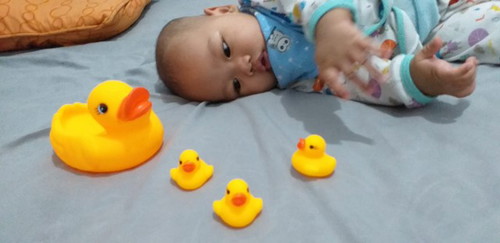 rambut bayi lama tumbuh
