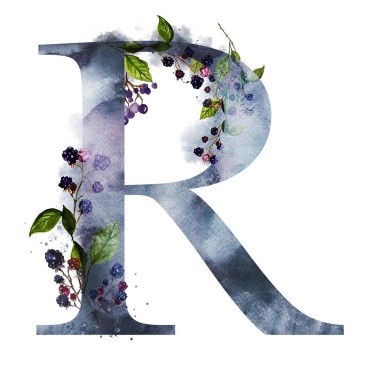 tin tin profile icon