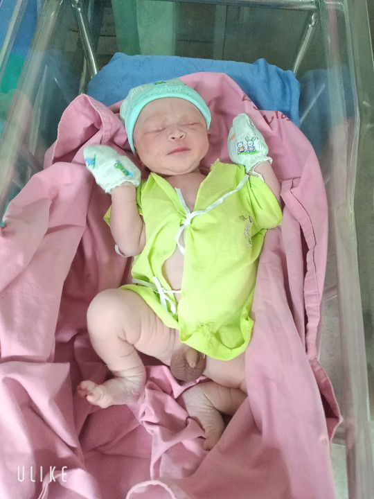 Meaw Meaw profile icon