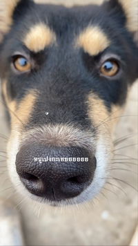 ภา รุ profile icon