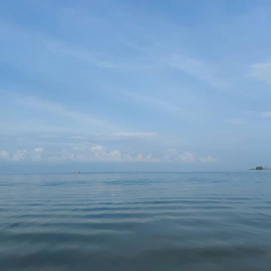 ✨ Mommy ✨ profile icon