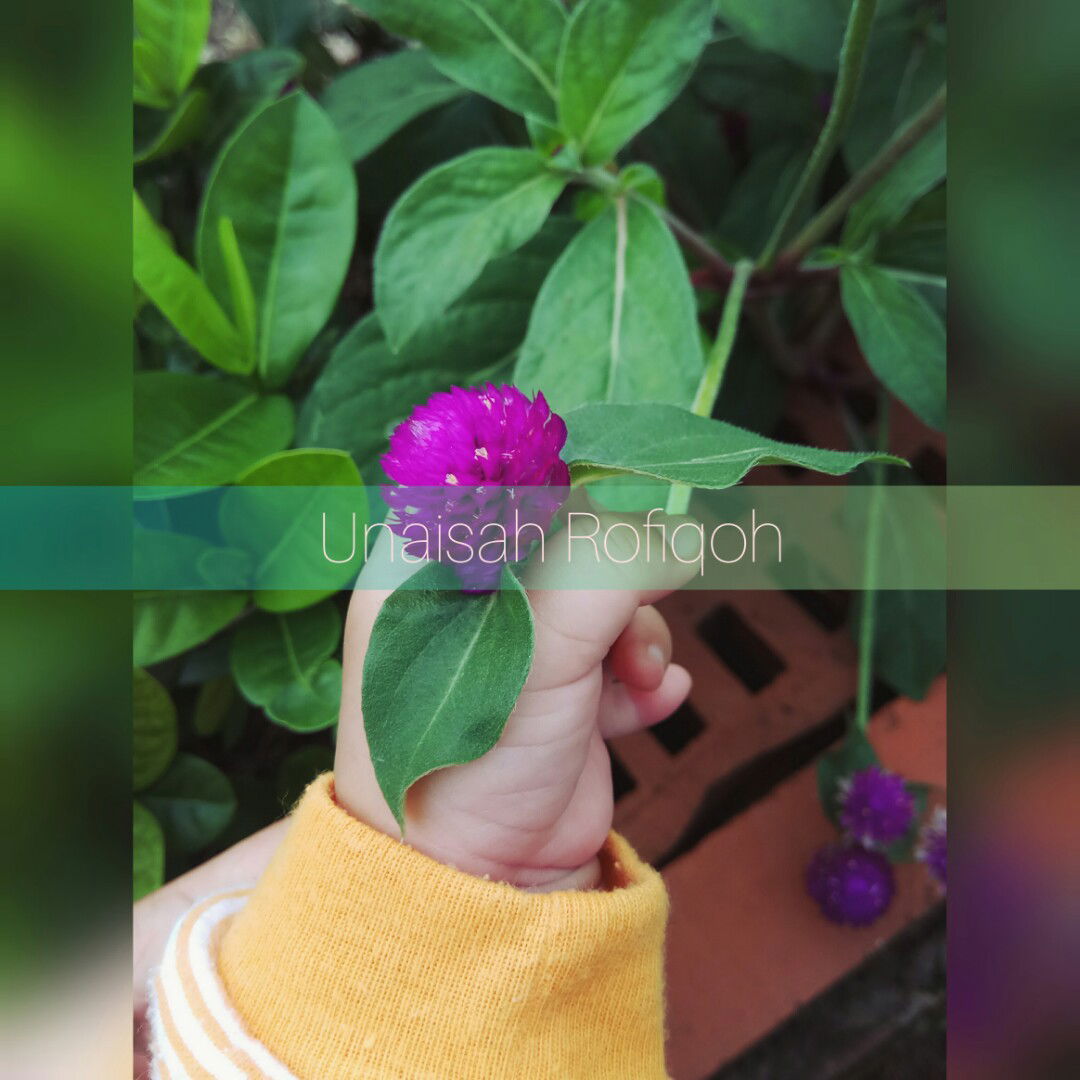 Ummu Unaisah profile icon