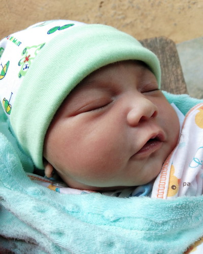 น้องปาลิน