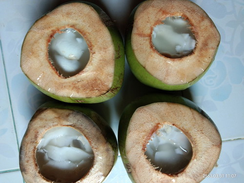 วุ้นมะพร้าว