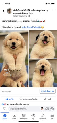 saranatt profile icon