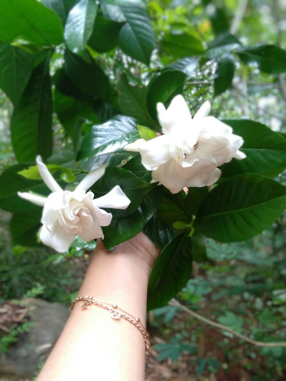 Muji Arti profile icon