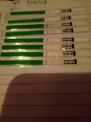 opk