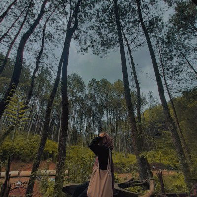 Cantika Indah profile icon