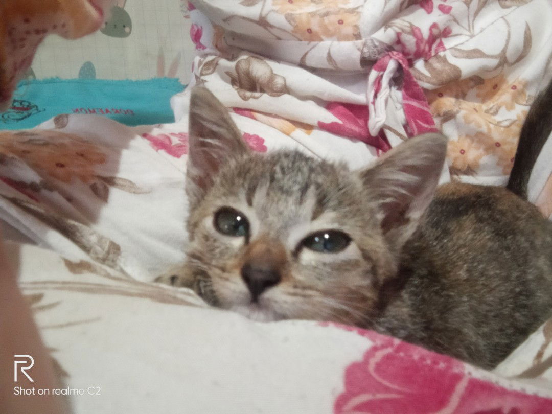 rahma tiana abdilla profile icon