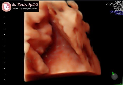 Sri Sulastri profile icon