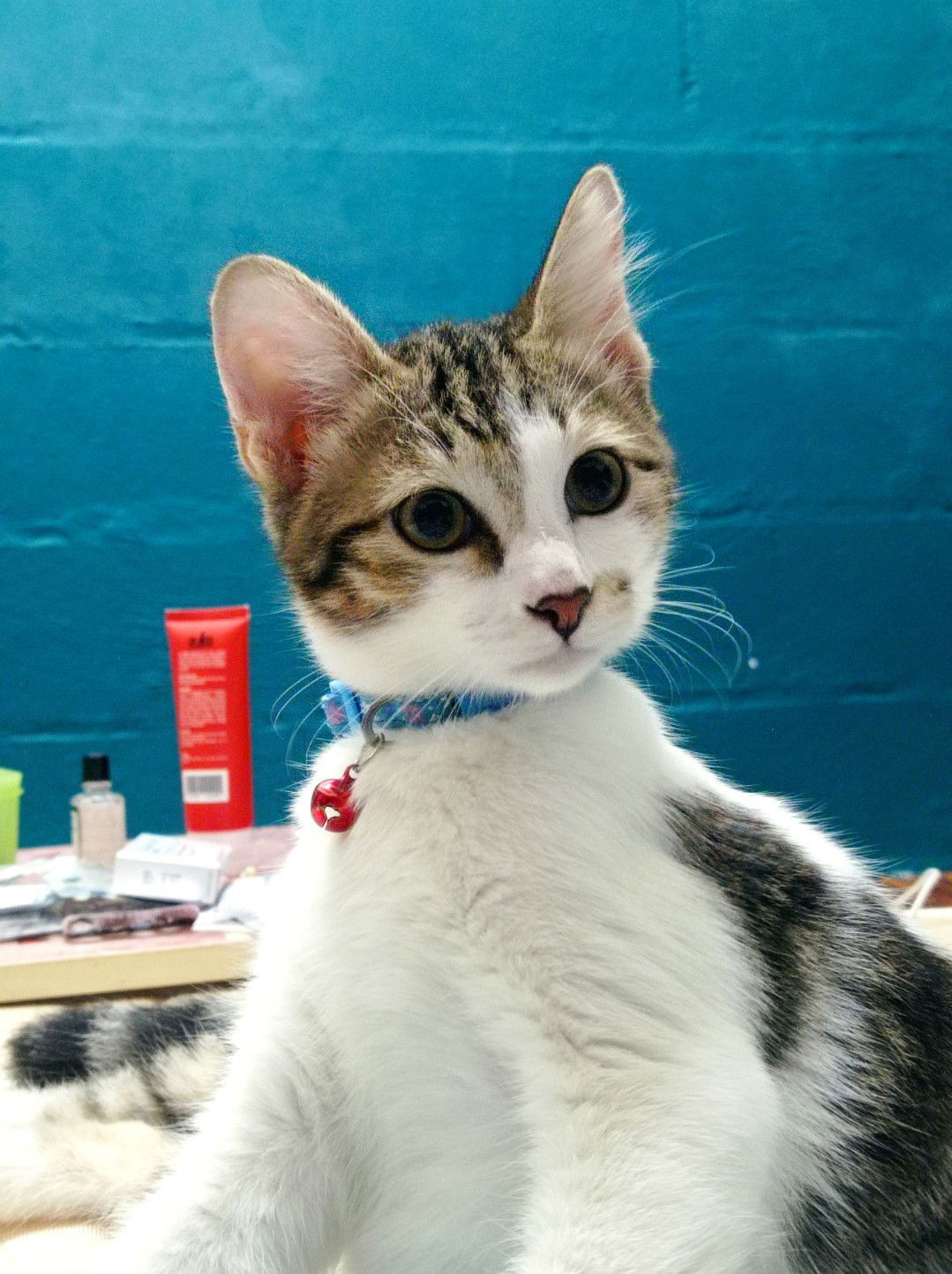 SITI HAFAWATI BINTI ISHAK profile icon