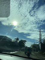 MAY MAY profile icon