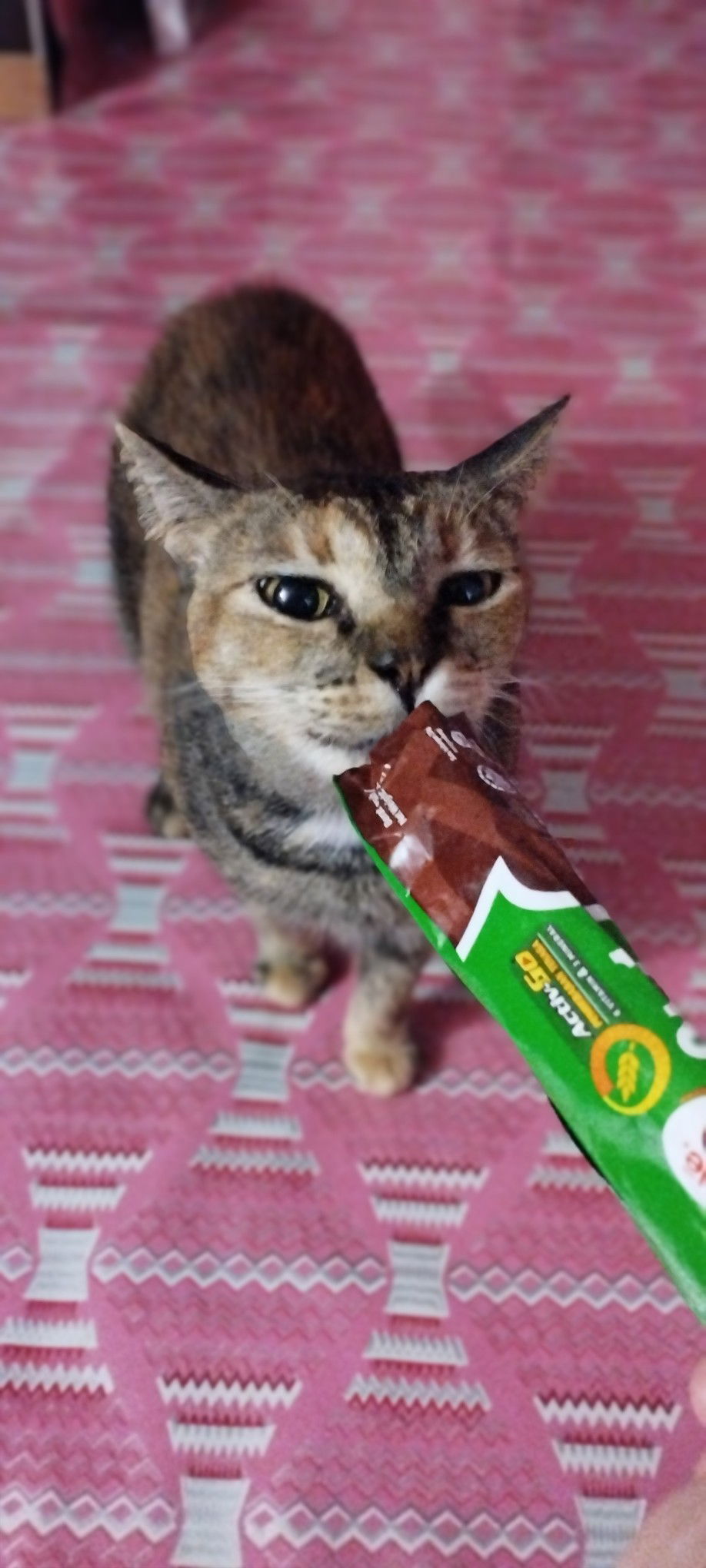 darling profile icon