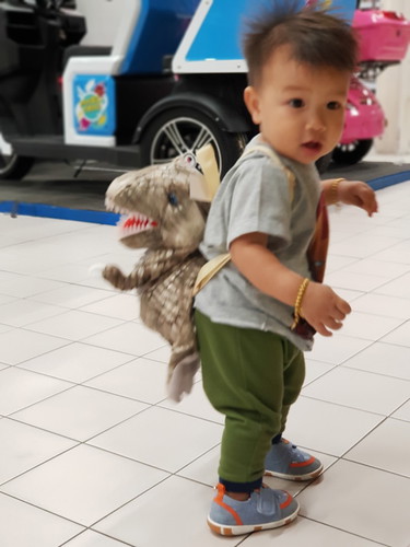 เดินทั้งวัน