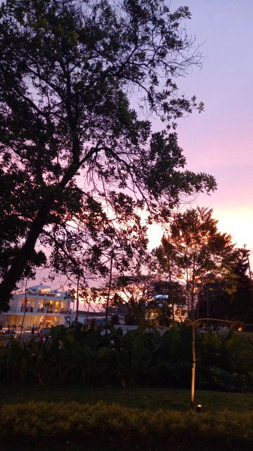 Nadya D profile icon