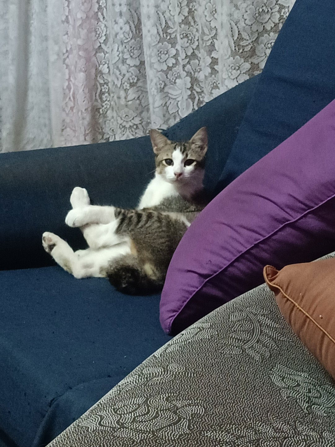 kak isha profile icon