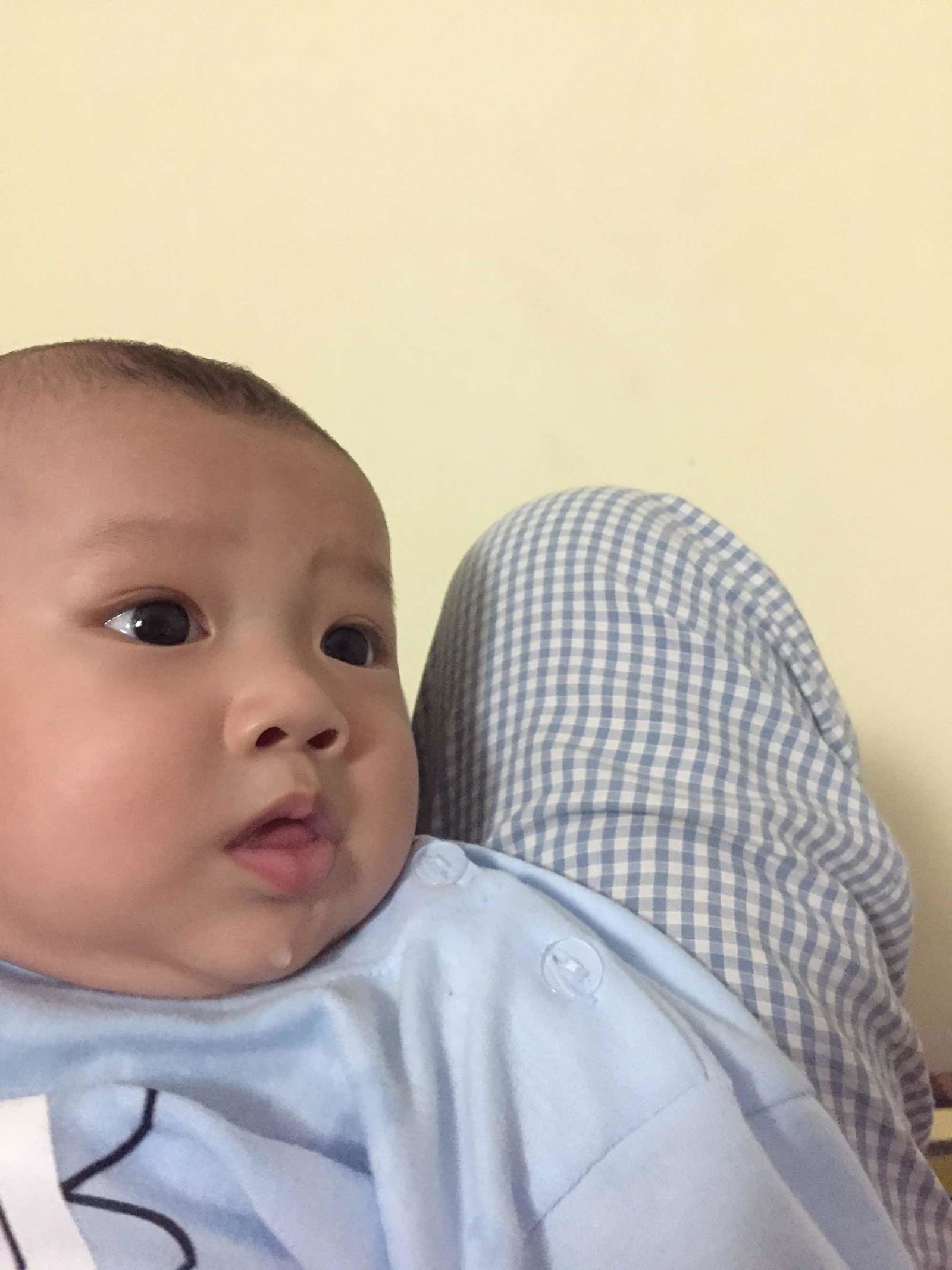 ต่วนซัยฟุล กูโตง profile icon