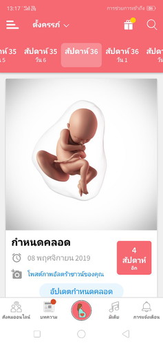 งงสรุปคือกี่สัอดาห์ค่ะ