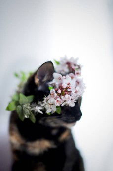 wella agatha profile icon