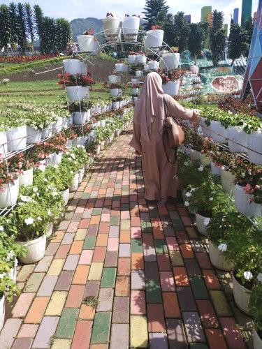 nia nurmala profile icon